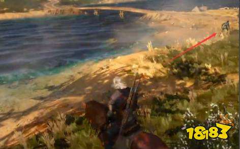 巫师3水鬼脑怎么获得 巫师3水鬼脑获得攻略