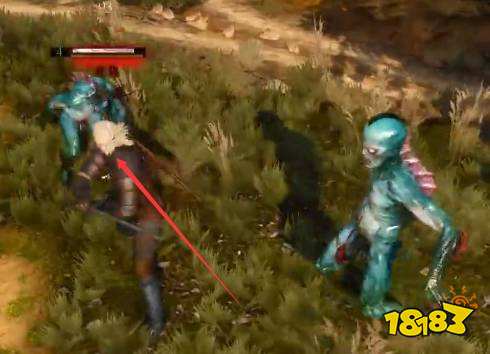 巫师3水鬼脑怎么获得 巫师3水鬼脑获得攻略