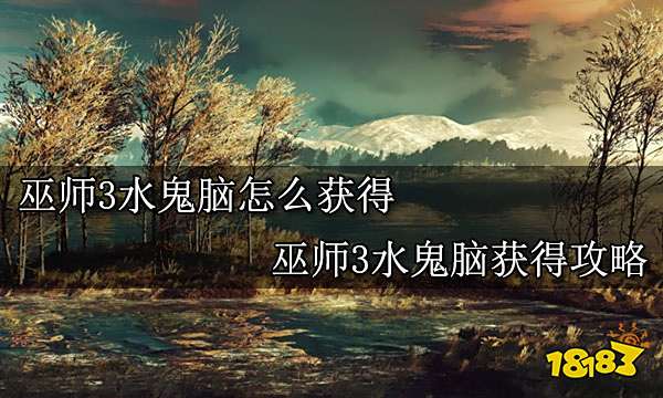 巫师3水鬼脑怎么获得 巫师3水鬼脑获得攻略