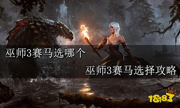 巫师3赛马选哪个 巫师3赛马选择攻略