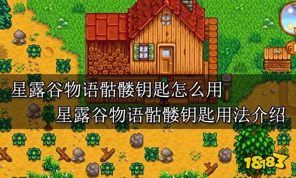 星露谷物语骷髅钥匙怎么用 星露谷物语骷髅钥匙用法介绍