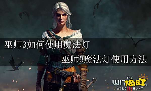 巫师3如何使用魔法灯 巫师3魔法灯使用方法