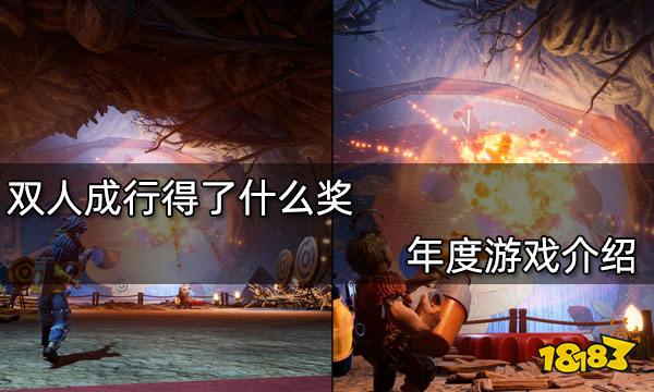 双人成行得了什么奖 年度游戏介绍