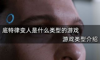 底特律变人是什么类型的游戏 游戏类型介绍