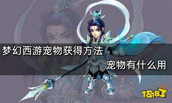 梦幻西游宠物获得方法 宠物有什么用