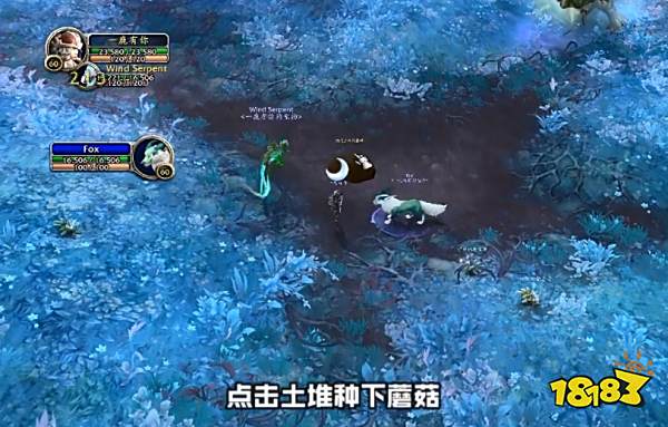 魔兽世界潮湿的沃土在哪 潮湿的沃土获得方法