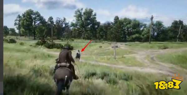 荒野大镖客2怎么驯马 驯马方法介绍