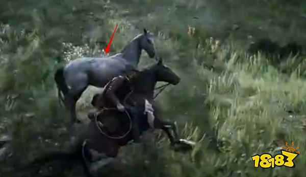 荒野大镖客2怎么驯马 驯马方法介绍