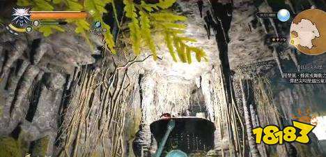 巫师3尖叫怪怎么引出来 巫师3引出尖叫怪攻略