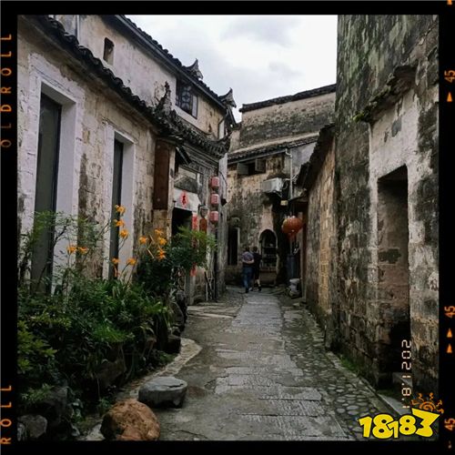 亲测好用的仿胶片相机APP