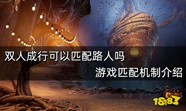 双人成行可以匹配路人吗 游戏匹配机制介绍