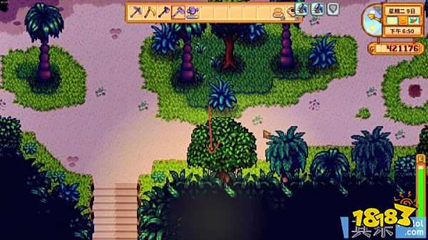 星露谷物语黄金核桃怎么获得 1.5版本黄金核桃位置与收集方法1