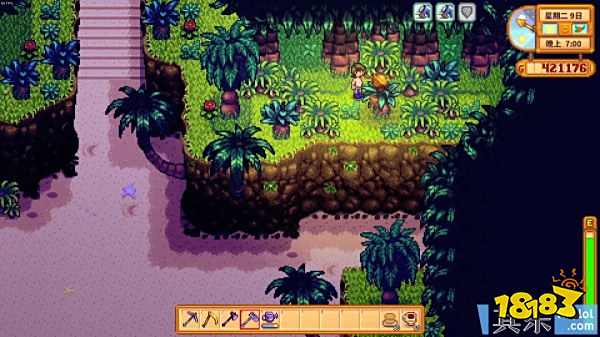 星露谷物语黄金核桃怎么获得 1.5版本黄金核桃位置与收集方法1