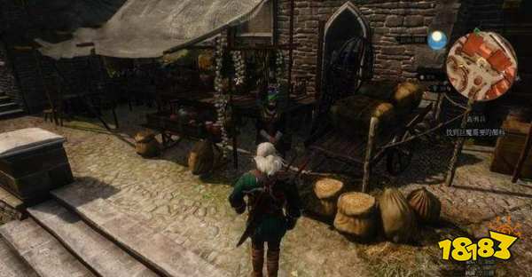 巫师3如何完成任务义勇兵 巫师3义勇兵任务攻略