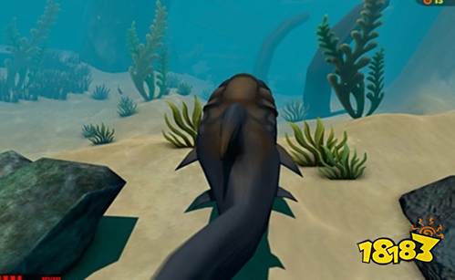 海底大猎杀破解版