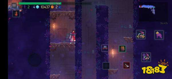 死亡细胞蜘蛛符文在哪里 死亡细胞蜘蛛符文获得攻略