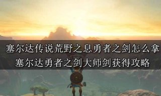 塞尔达传说荒野之息勇者之剑怎么拿 塞尔达勇者之剑大师剑获得攻略