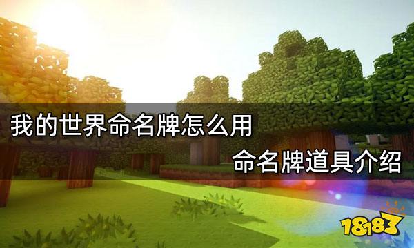 我的世界命名牌怎么用 命名牌道具介绍