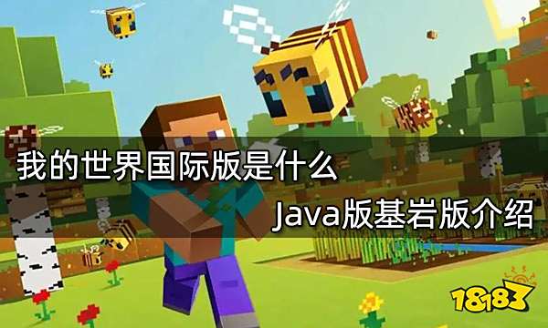 我的世界国际版是什么 Java版基岩版介绍