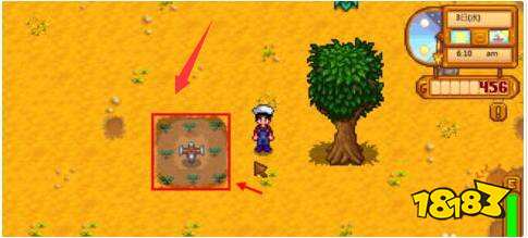 星露谷物语洒水器怎么用 洒水器用法介绍一览