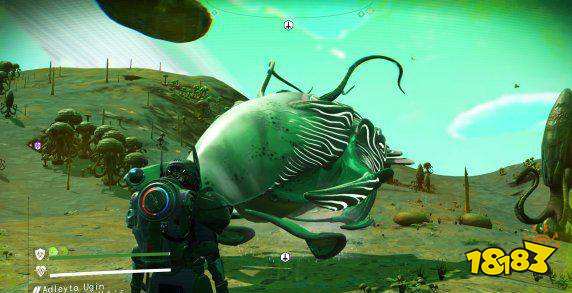 無人深空生物飛船怎么獲得 生物飛船獲得方法