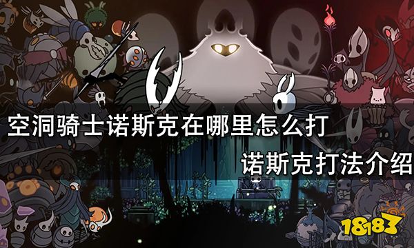 空洞骑士诺斯克在哪里怎么打 诺斯克打法介绍