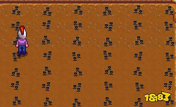 星露谷物语温室种什么好 星露谷物语温室种植攻略