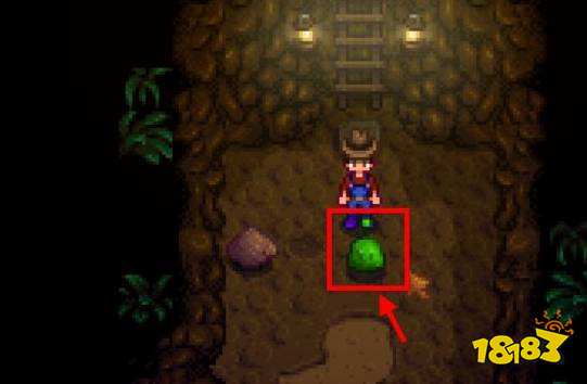 星露谷物语松露油怎么获得 星黛谷松露油获得攻略