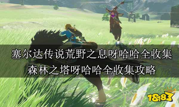 塞尔达传说荒野之息呀哈哈全收集 森林之塔呀哈哈全收集攻略