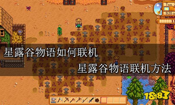星露谷物语如何联机 星露谷物语联机方法