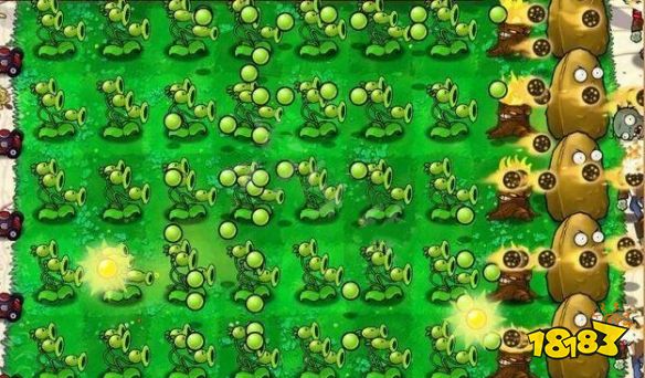 植物大戰(zhàn)僵尸最強陣型 五種強力陣型分享