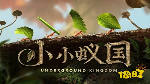 小小蚁国正式版