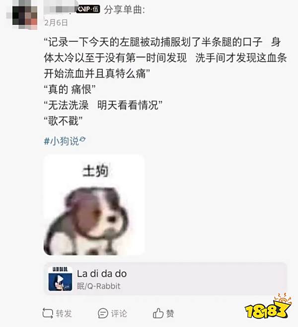 「虚拟偶像」的泡沫迷梦,随着珈乐的毕业破碎