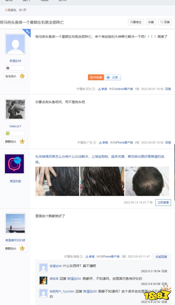 LOL狗頭吧是怎樣的存在 狗頭吧梗科普