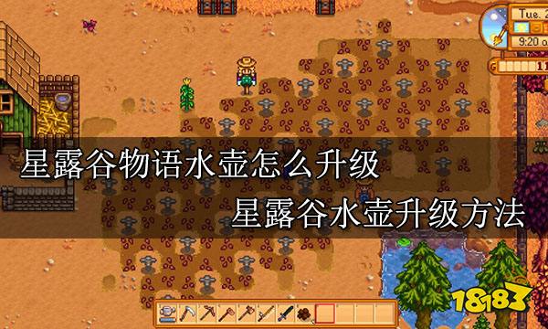 星露谷物语水壶怎么升级 星露谷水壶升级方法