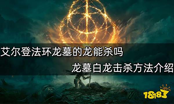 艾尔登法环龙墓的龙能杀吗 龙墓白龙击杀方法介绍