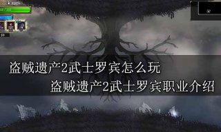 盗贼遗产2武士罗宾怎么玩 盗贼遗产2武士罗宾职业介绍