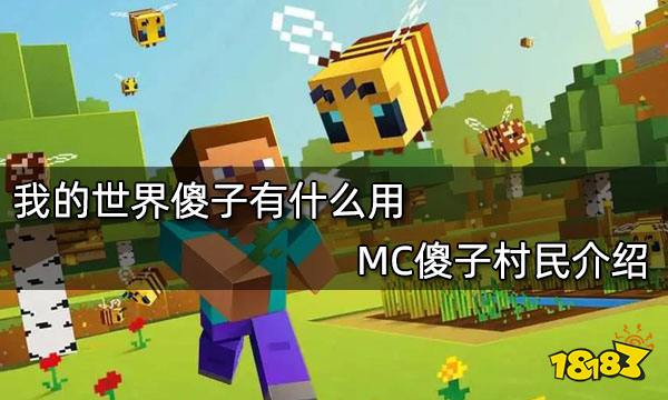 我的世界傻子有什么用 MC傻子村民介绍