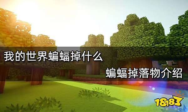 我的世界蝙蝠掉什么 蝙蝠掉落物介绍