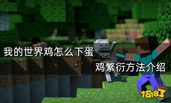 我的世界鸡怎么下蛋 鸡繁衍方法介绍