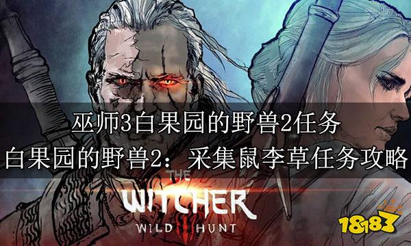 巫师3白果园的野兽2任务 白果园的野兽2:采集鼠李草任务攻略