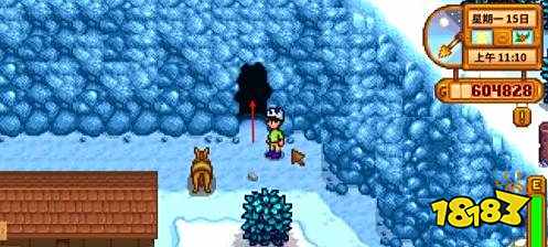 星露谷物语祝尼魔小屋怎么获得 星露谷祝尼魔小屋获得攻略