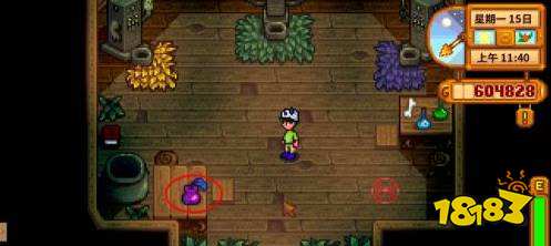 星露谷物语祝尼魔小屋怎么获得 星露谷祝尼魔小屋获得攻略