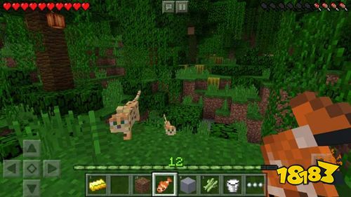 我的世界國際版1.19