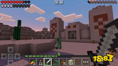 我的世界國際版1.19