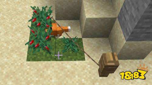 我的世界狐狸驯服后会跟随吗 狐狸驯服方法介绍