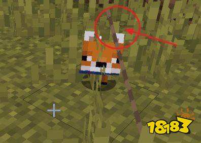 我的世界狐狸驯服后会跟随吗 狐狸驯服方法介绍