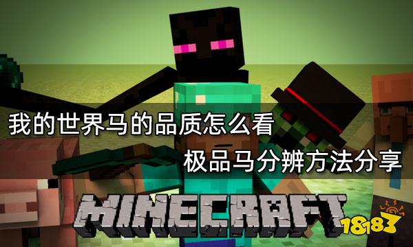 我的世界马的品质怎么看 极品马分辨方法分享