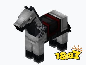 我的世界马的品质怎么看 极品马分辨方法分享