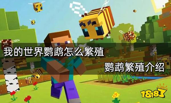 我的世界鹦鹉怎么繁殖 鹦鹉繁殖介绍